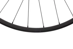 Dt-swiss DT Swiss XM 401 Aluminum Tubeless 29" Wheelset -Pro Cycling Shop WMT13390B PH3 12 scaled